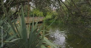 Maria Luisa park in Seville bridge and water fountain between green trees and bushes on a cloudy day pan right