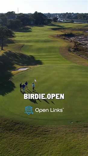 GOLF.com // GOLF Magazine on Instagram: "Meet Birdie. @openlinksgolf’s AI tool will plan your entire golf trip in minutes."