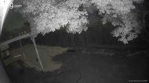 As we inch a bit closer to Halloween, one FOX26 News viewer sent us a creepy video of something screaming in the middle of the night. Thoughts on what it could be? https://kmph.com/news/local/video-mysterious-late-night-screams-heard-near-jensen-and-clovis-spooky-screaming-halloween-fresno-california-clovis-california-jensen-and-clovis-ring-video (Video: Viewer) | FOX26