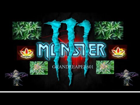 The Last Caretaker #1116 pc