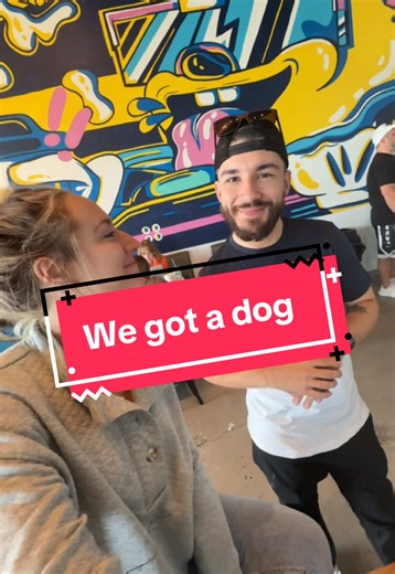 Meet Kenzie 🐶🥰 #puppy #newdog #pet #dog #shelter #adoptdontshop @Kyle Caterisano