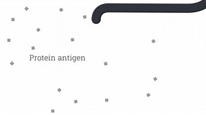 14 reactions | Detect parasites earlier without relying on the presence of eggs. Rise above fecal flotation—rely on Fecal Dx® antigen testing for earlier detection in pets! Learn more: https://bit.ly/3Rbf0Jy | IDEXX | Facebook