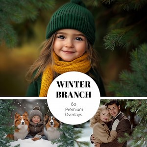 60 CHRISTMAS TREE Overlays Pine Branch Overlay Winter Branch Photoshop Overlays Leaves Branches Digital Backdrops Pine Tree Transparent PNG - Etsy