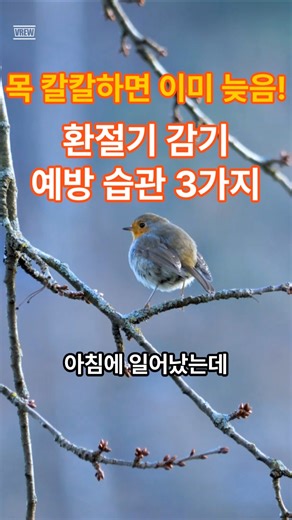 목 칼칼할 때 이미 늦음! 환절기 감기 예방 습관 3가지 #환절기 #감기예방 #생활꿀팁 #건강관리