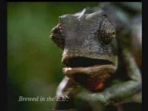 Budweiser Advert - Chameleons VS Frogs