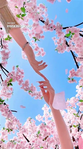 内カメラの手軽さ、外カメラの高画質 🌸