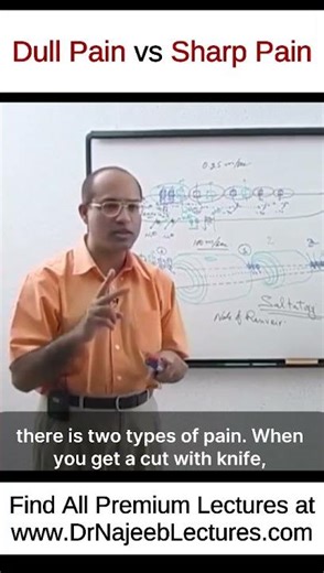 Dull Pain vs Sharp Pain #shortvideo #shorts #drnajeeb #lecture
