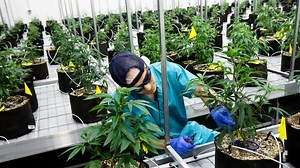 Look inside Cresco Labs medical marijuana operation in Southwest Ohio