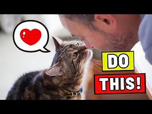 10 Ways to Tell Your Cat YOU LOVE THEM (in a Language THEY UNDERSTAND)