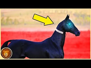 10 Tiere, die so nur einmal alle 1000 Jahre geboren werden