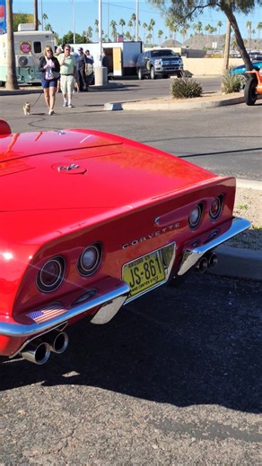 lovely red on red c3 Chevrolet corvette at classic car meet