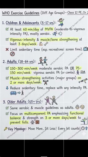 Exercise guidelines of WHO for different age groups class 12 physical education ch-2