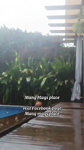 Relaxing ambiance ba hanap mo, na nasa Manila lang ? Dito lang Yan sa MANG MAGS PLACE .. PM lng for your reservations 👌 | Mang Mags Place