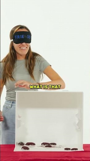 Cockroach in the box in what in the box game ‪@theogcrewofficial‬