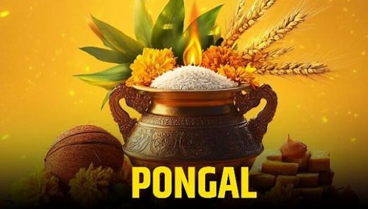 Pongal 2026 Dates: Four-Day Festival Rituals and Significance Explained