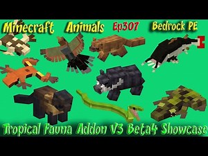 Tropical Fauna Addon v3 Beta 4 Update Showcase Bedrock PE Minecraft Animals Ep307