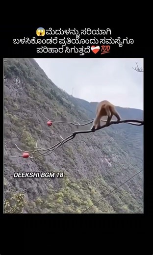 Tha power of mind set 😎⏳#money #kannada #motivation #shorts