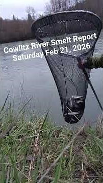 Cowlitz River Smelt (Eulachon) Opener Saturday Feb 21, 2026 #outdoors #fish #pnw