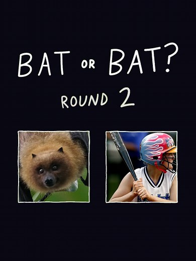 BAT or BAT? Word Game Challenge