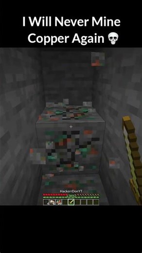 Minecraft Bro Fall For Copper💀