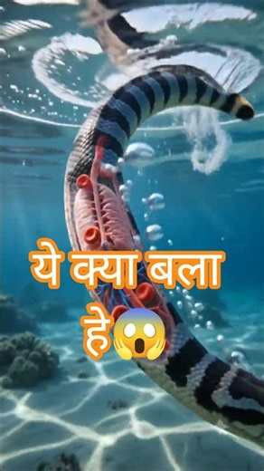 How Do Sea Snakes Breathe Underwater? 🐍🌊
