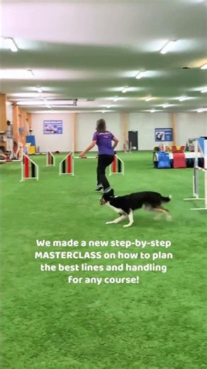 How do I know which lines or techniques to choose in agility?