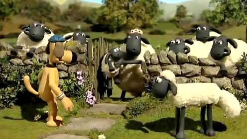 NEW Shaun The Sheep Full Episodes! Shaun