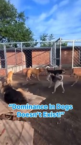 1.6K views · 4.3K reactions | This video has been making the rounds...