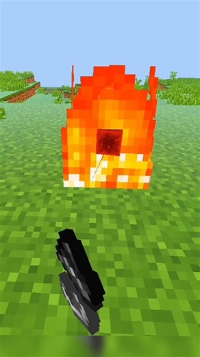 Can You Guess These Minecraft Items?