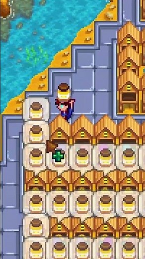 300,000g Every 4 Days?! The Secret Honey Farm Trick (Stardew Valley 1.6