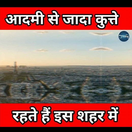 इंसान से जादा कुत्ते रहते हैं इस शहर मे 😱 amelazing random video random fact #a2motivation #facttec