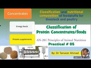 Practical#5-Protein Feedstuffs-Lecture Series in Animal Sciences, Animal Nutrition