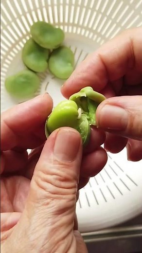 そら豆の塩茹で（茹で方）／そら豆レシピ／ばあちゃんの料理教室 #shorts