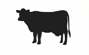 25 Pack – Paper Cow Shapes, Cow Die Cuts, Farm Animal Paper Cutouts, Barnyard Party Paper Crafts, DIY Cow Paper Decorations - Etsy