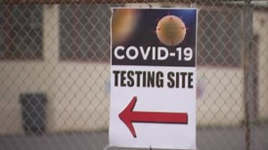 Just How Reliable Are COVID-19 Tests? Doctors Warn Of ‘False Negative' Results