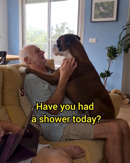 Have you had a shower today? I do a really good value cleaning service! 😇🥰 | Bobby from the bin