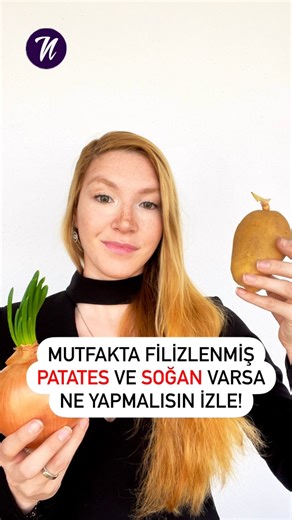 Ece Birinci | Gıda Mühendisi | Sağlıklı Beslenme on Instagram: "Bir gıda mühendisi olarak sizlerin sorduğu sorular doğrultusunda mutfakta yapılan yanlışlar serimize devam ediyoruz🤩 Siz mutfakta filizlenen soğan ve patatesleri kullanıyor muydunuz? Merak ettiğiniz başka konuları da yorumlara yazarsanız sonraki reelslarda onları da konuşalım 😎 Bu videoyu mutfakta vakit geçiren arkadaşına gönder bilgilensin 😍 Bilgi paylaştıkça güzel 🥳 #patates #filizlenmişpatates #soğan #filizlenmişsoğan #saklam