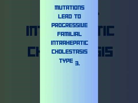 ABCB4 ATP Binding Cassette Subfamily B Member 4