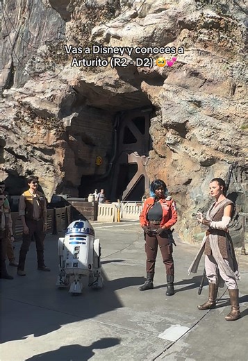 Meeting R2-D2 at Disney: A Magical Experience