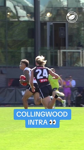 Collingwood going back to back this year? 👀🤫 #afl #footy