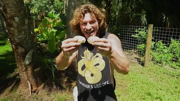 Raiding Crocodile Nest!