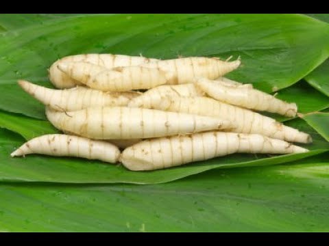 Arrowroot | Uraro