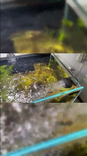 Wave Maker for Aquarium,Powerhead with Strong Magnet Suction Base #aquarium