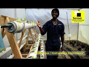 This Is How You Grow Food Without Soil 🌱 Hydroponics explained in 60 seconds | Sensei College