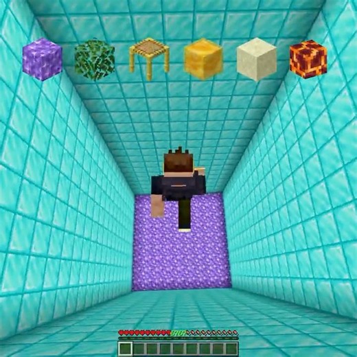 Testing Minecraft Blocks vs Max Fall Damage! #minecraft #shorts