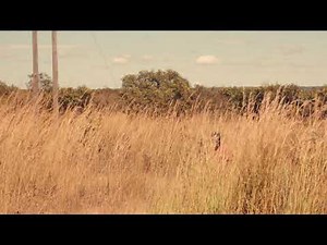 Knack Unity - Dollar (Official Video)