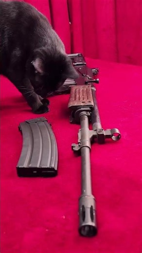Galil AR el FUSIL más resistente al BARRO!