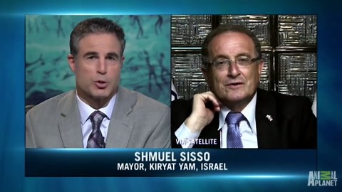 Times The Discovery Channel Lied To You