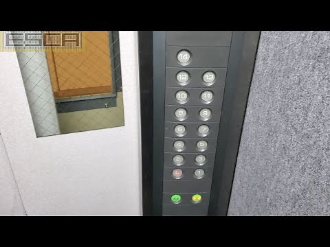 オーチス エレベーター 600kg ９人乗り 13F-L OTIS Elevator
