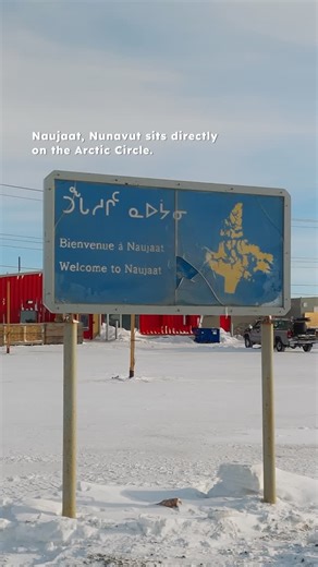 Indigenous Geographic on Instagram: "Naujaat, Nunavut sits on the Arctic Circle, home to the Aivilingmiut Inuit and surrounded by incredible Arctic wildlife and landscapes. #naujaat #travelnunavut #inuitculture"